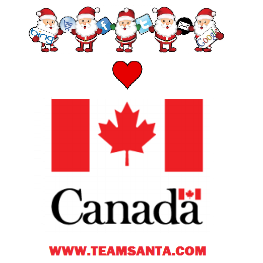 We Deliver Christmas Trees, Lights And Decorations To Canada Just Like Santa Himself