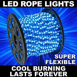 150 Foot LED Blue Rope Lights 3 Foot Segments