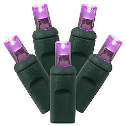 50 Commercial Grade LED 5MM Wide Angle Polka Dot Purple Twinkle Halloween String Light Set